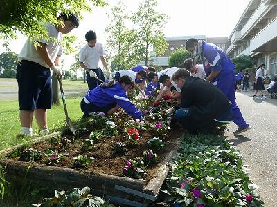 花植え